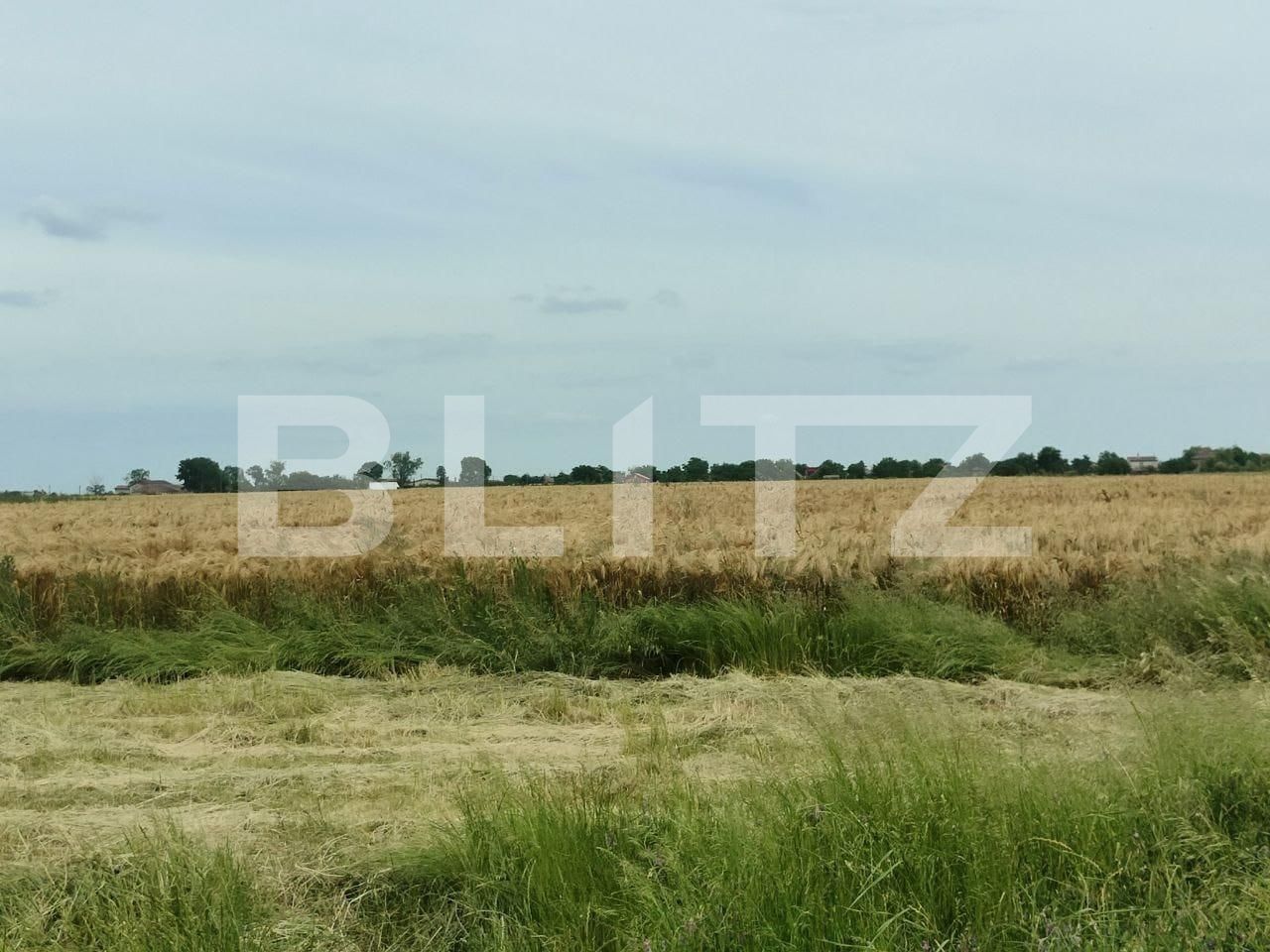 Teren de vânzare Exterior Sud - 129368TV | BLITZ Timișoara | Poza7