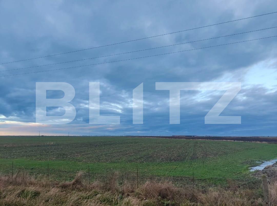 Teren de vânzare Exterior Sud - 129368TV | BLITZ Timișoara | Poza19