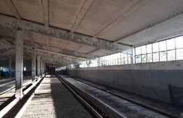 De vanzare teren-intravilan, ferma 9,5 ha, Tulcea-Sf. Gheorghe 