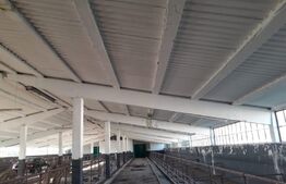 De vanzare teren-intravilan, ferma 9,5 ha, Tulcea-Sf. Gheorghe 