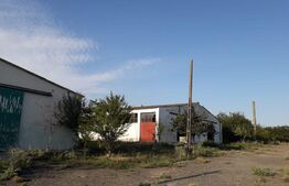 De vanzare teren-intravilan, ferma 9,5 ha, Tulcea-Sf. Gheorghe 