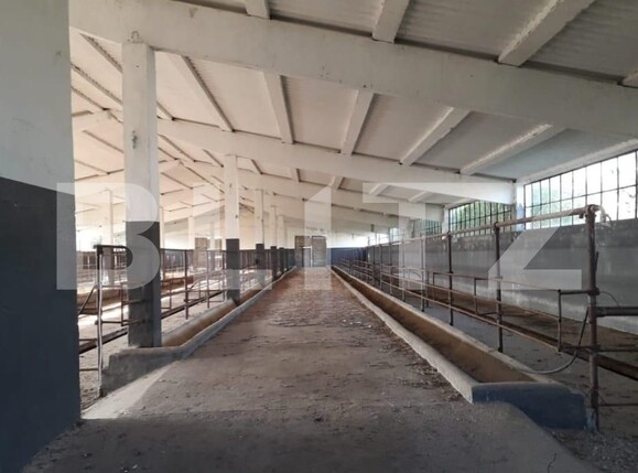 Teren de vânzare Exterior Nord - 129470TV | BLITZ Timișoara | Poza7