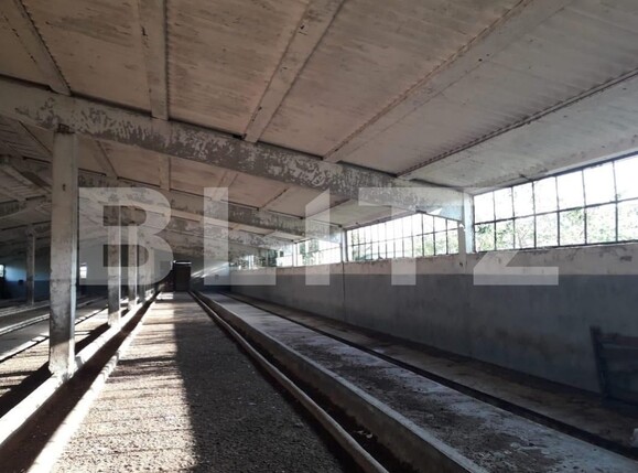 Teren de vânzare Exterior Nord - 129470TV | BLITZ Timișoara | Poza11