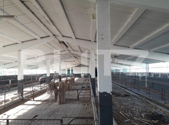 Teren de vânzare Exterior Nord - 129470TV | BLITZ Timișoara | Poza2