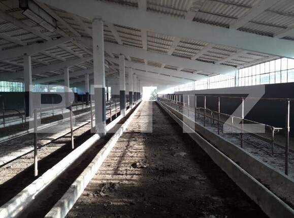 Teren de vânzare Exterior Nord - 129470TV | BLITZ Timișoara | Poza3