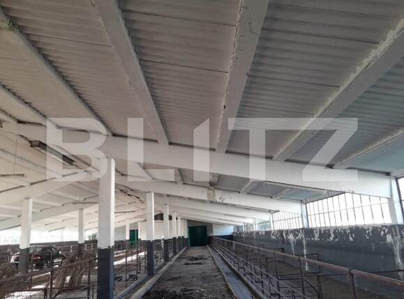 Teren de vânzare Exterior Nord - 129470TV | BLITZ Timișoara | Poza4