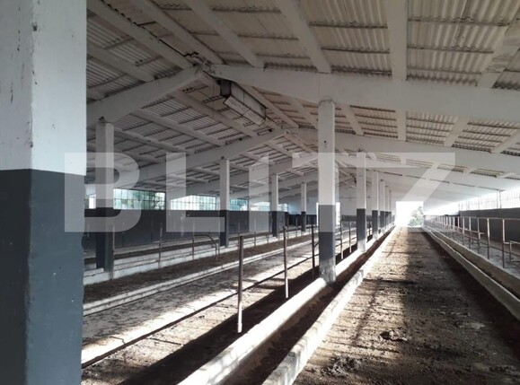 Teren de vânzare Exterior Nord - 129470TV | BLITZ Timișoara | Poza10