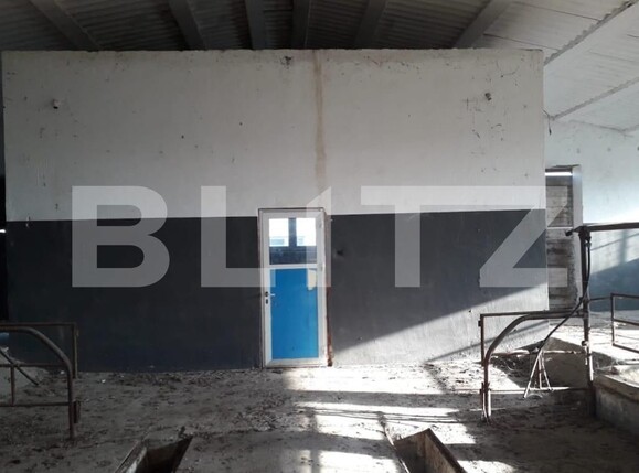 Teren de vânzare Exterior Nord - 129470TV | BLITZ Timișoara | Poza6