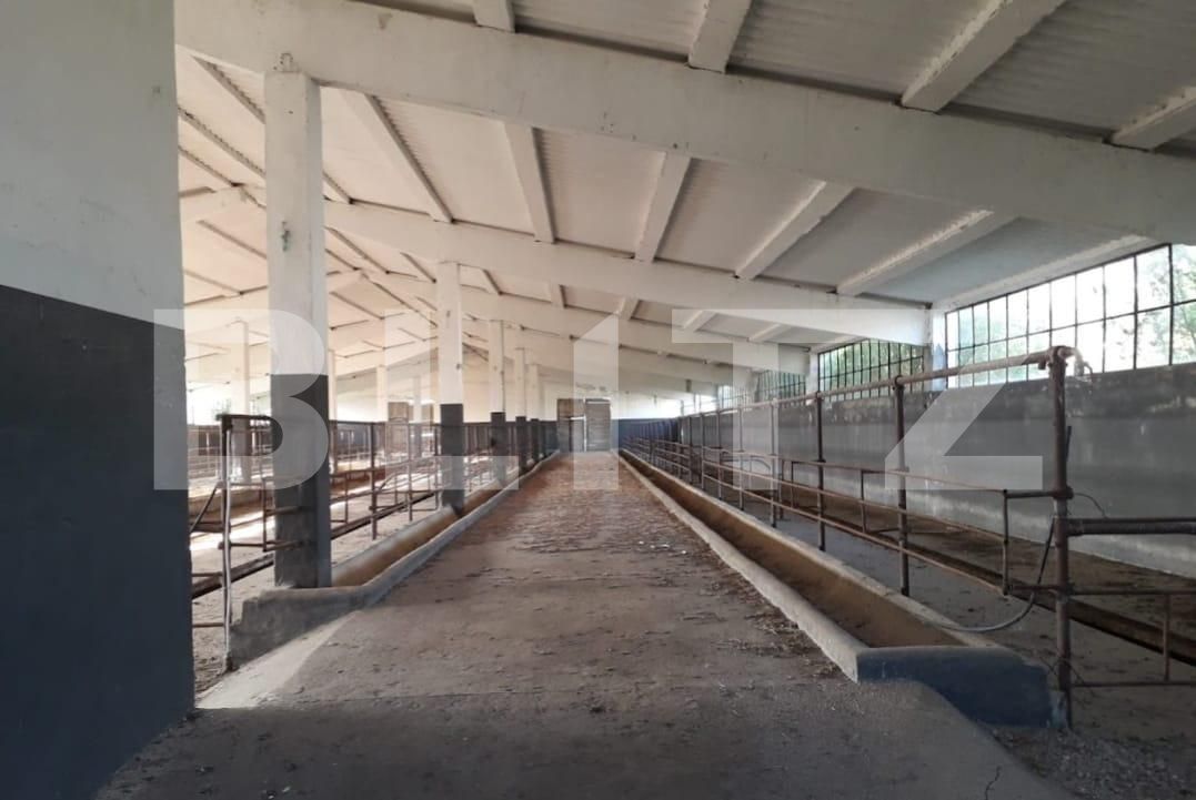 Teren de vânzare Exterior Nord - 129470TV | BLITZ Timișoara | Poza7