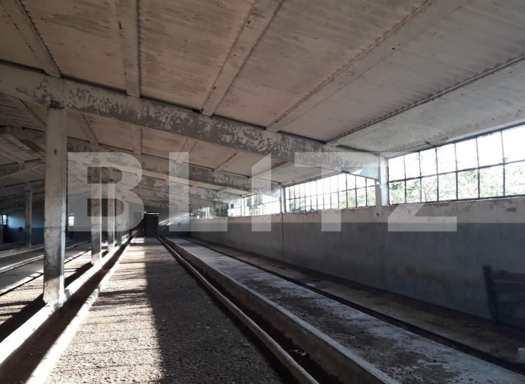 Teren de vânzare Exterior Nord - 129470TV | BLITZ Timișoara | Poza11