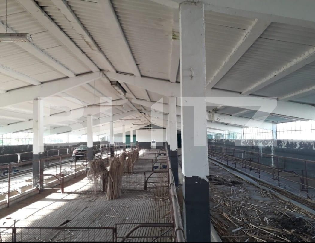 Teren de vânzare Exterior Nord - 129470TV | BLITZ Timișoara | Poza2