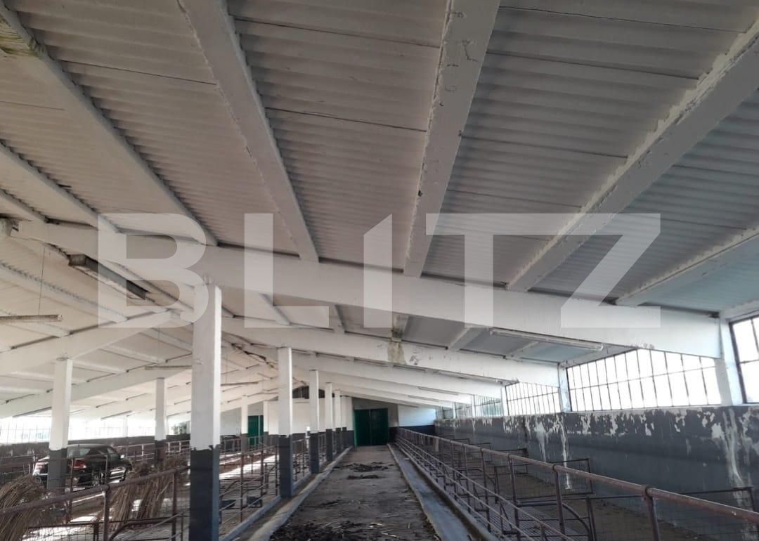 Teren de vânzare Exterior Nord - 129470TV | BLITZ Timișoara | Poza4