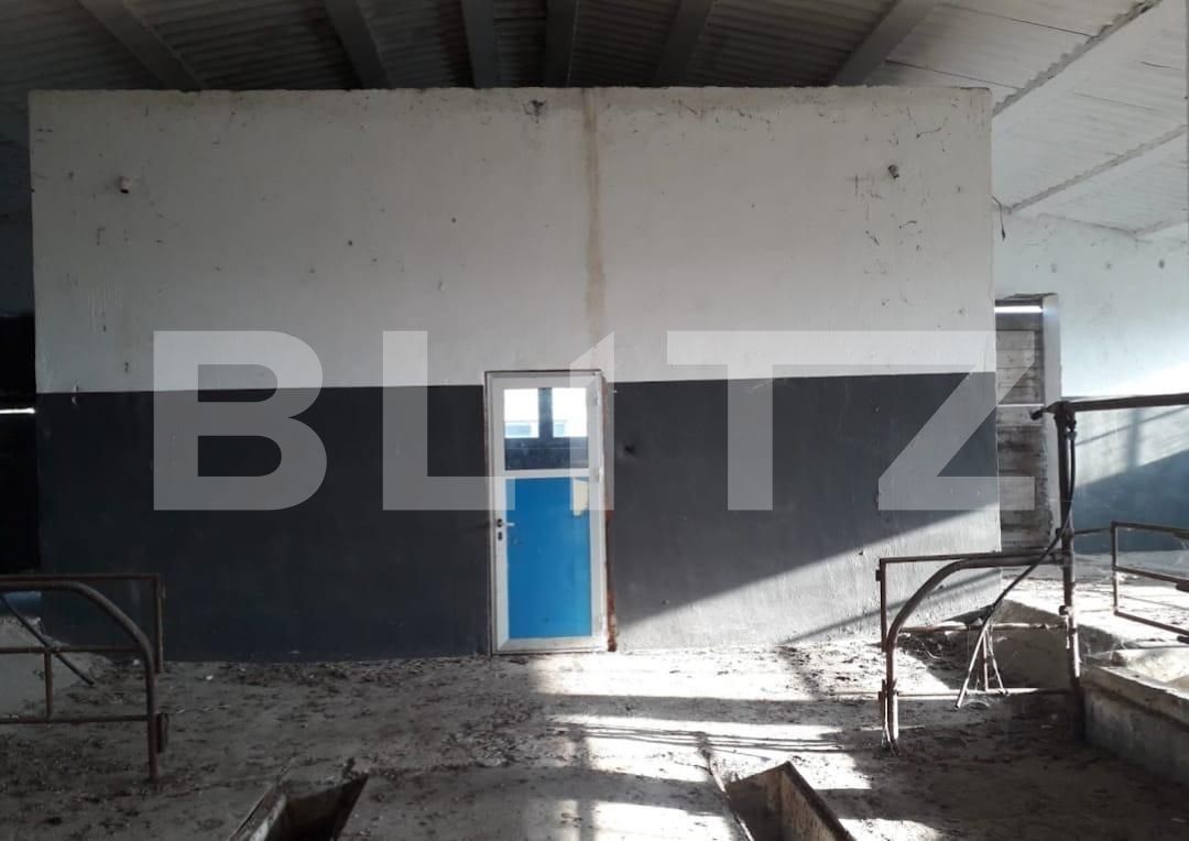 Teren de vânzare Exterior Nord - 129470TV | BLITZ Timișoara | Poza6