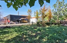 Casa individuala 4 camere, 190mp utili, teren 1428mp, 2 fronturi stradale, Cheveresul Mare