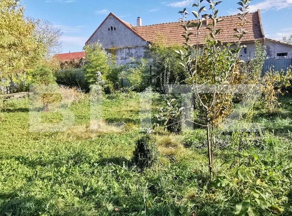 Casa de vânzare 4 camere Cheveresu Mare - 129503CV | BLITZ Timișoara | Poza17