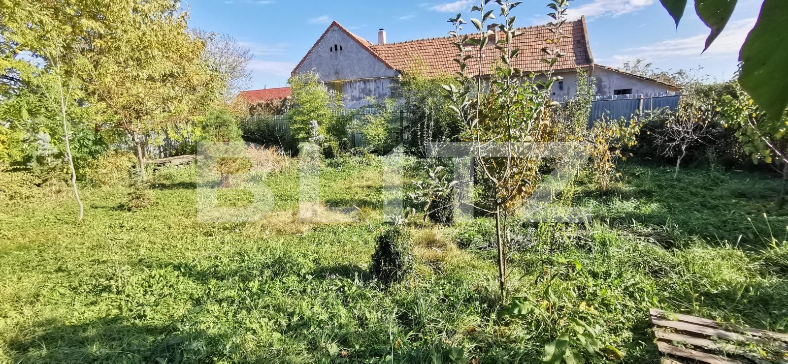 Casa de vânzare 4 camere Cheveresu Mare - 129503CV | BLITZ Timișoara | Poza17