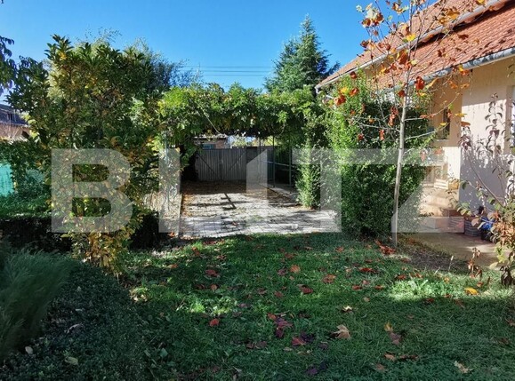 Casa de vânzare 4 camere Cheveresu Mare - 129506CV | BLITZ Timișoara | Poza4