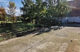  Teren intravilan pentru casa, S=700mp, Cheveresul Mare 