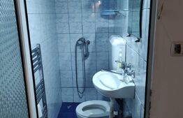 Apartament 2 camere, curte comuna, 43mp, Piata Traian