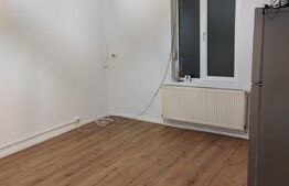 Casa la curte comuna, 2 camere, 43mp, Piata Traian + demisol 50mp neamenajat