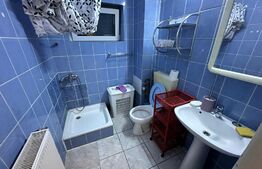 Apartament 1 camera, 30mp, bucatarie inchisa, zona Bogdanestilor