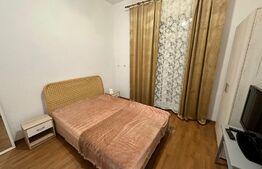 Apartament 1 camera, 30mp, bucatarie inchisa, zona Bogdanestilor