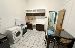 Apartament 1 camera, 30mp, bucatarie inchisa, zona Bogdanestilor