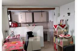 Casa 2 camere, 36 mp, curte, Iosefin