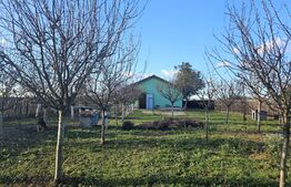 Ocazie! Casa 4 camere, 200mp, hala 500mp, teren 10000mp, in Freidorf