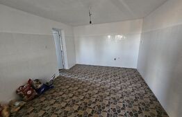 Ocazie! Casa 4 camere, 200mp, hala 500mp, teren 10000mp, in Freidorf