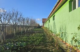 Ocazie! Casa 4 camere, 200mp, hala 500mp, teren 10000mp, in Freidorf