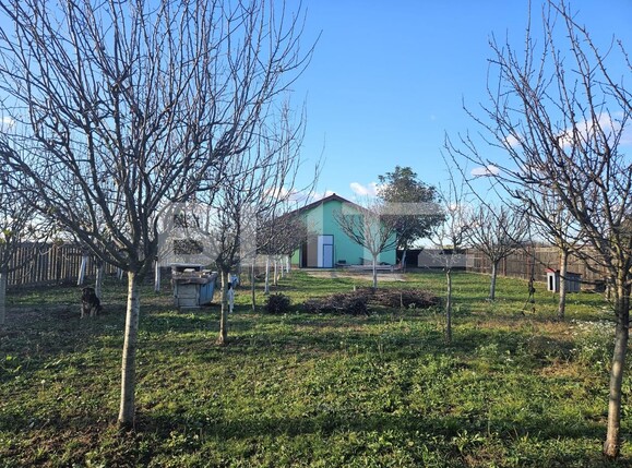 Casa de vânzare 4 camere Freidorf - 129836CV | BLITZ Timișoara | Poza3