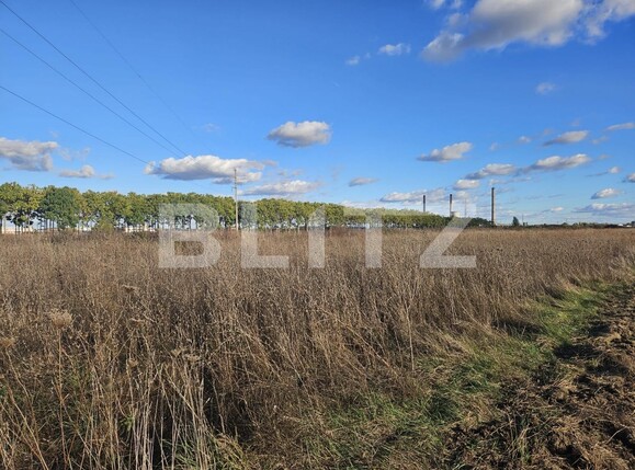 Casa de vânzare 4 camere Freidorf - 129836CV | BLITZ Timișoara | Poza2