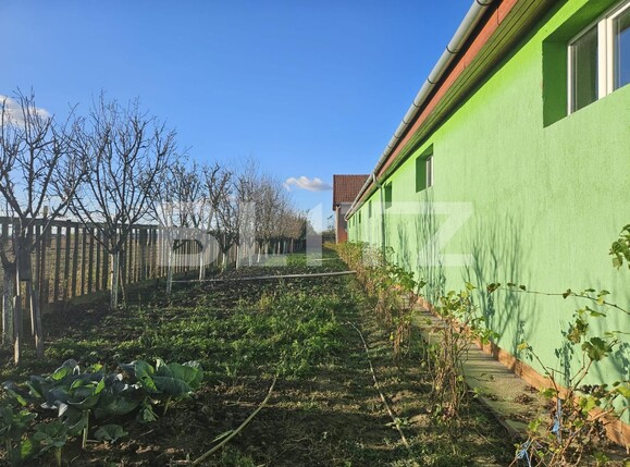 Casa de vânzare 4 camere Freidorf - 129836CV | BLITZ Timișoara | Poza4