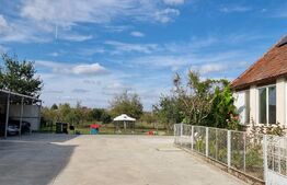 Casa individuala 6 camere, S= 351mp, St= 1827mp, Bucovat