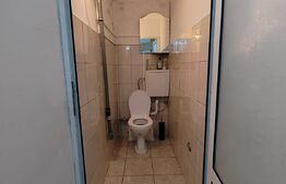 Spatiu comercial, SAD, 25mp,  Elizabetin