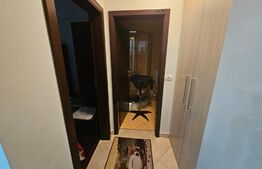 Apartament mobilat, 2 camere, 39mp,  Dumbrăvița