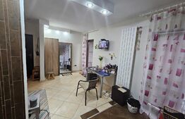 Apartament mobilat, 2 camere, 39mp,  Dumbrăvița