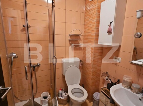 Apartament de vânzare 2 camere Dumbravita - 129910AV | BLITZ Timișoara | Poza5