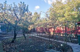 Casa individuala, 3 camere, St = 400 mp, Dambovita