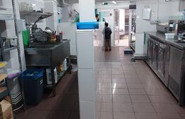 Afacere la cheie, Fast-food, 60 mp, zona Take Ionescu