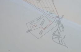 Teren Intravilan, 5 hectare, Padureni, comuna Jebel, front stradal 125 ml