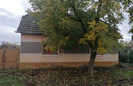 Casa individuala, 5 camere, Su = 200, St = 1474mp, Becicherecu Mic