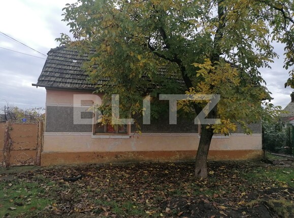 Casa de vânzare 5 camere Becicherecu Mic - 130551CV | BLITZ Timișoara | Poza2