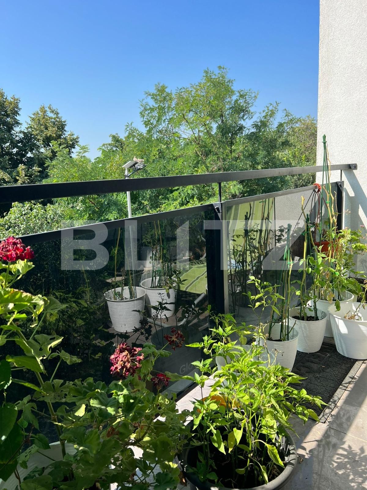 Apartament de vânzare 3 camere Giroc - 130564AV | BLITZ Timișoara | Poza6