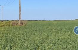 Teren arabil, 25 ha, Giulvaz-Foeni, front stradal 280 ml