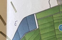 Teren arabil, 25 ha, Giulvaz-Foeni, front stradal 280 ml