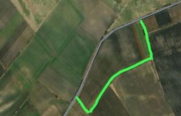 Teren arabil, 25 ha, Giulvaz-Foeni, front stradal 280 ml