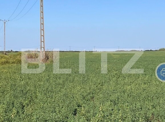 Teren de vânzare Exterior Sud - 130581TV | BLITZ Timișoara | Poza2