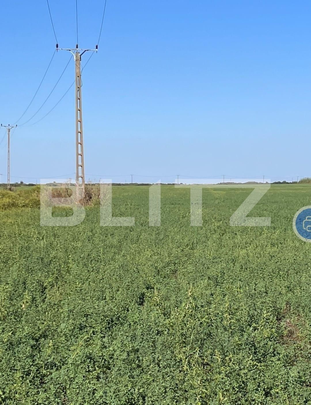 Teren de vânzare Exterior Sud - 130581TV | BLITZ Timișoara | Poza2